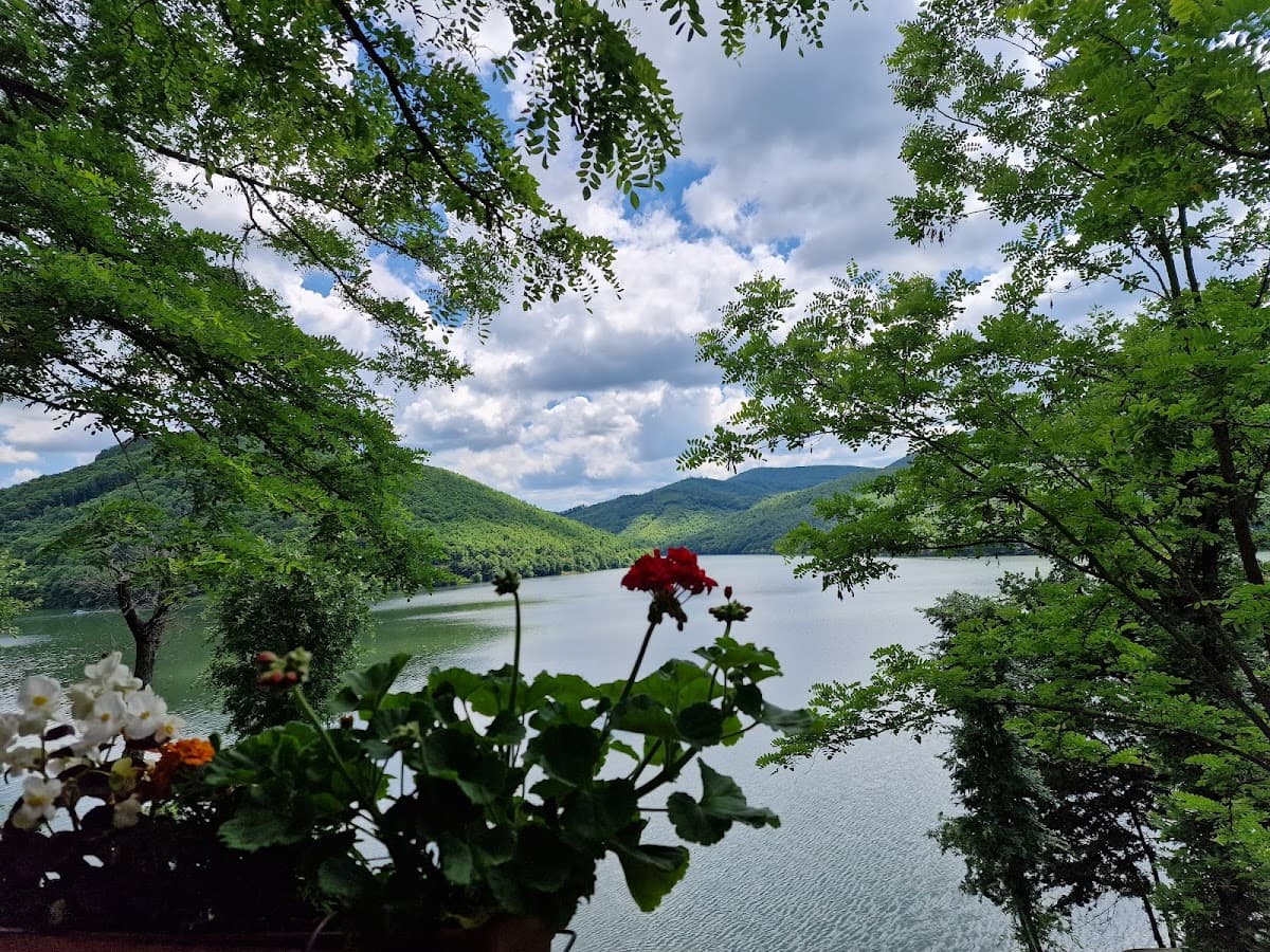 Villa Lekë&Lir photo 3