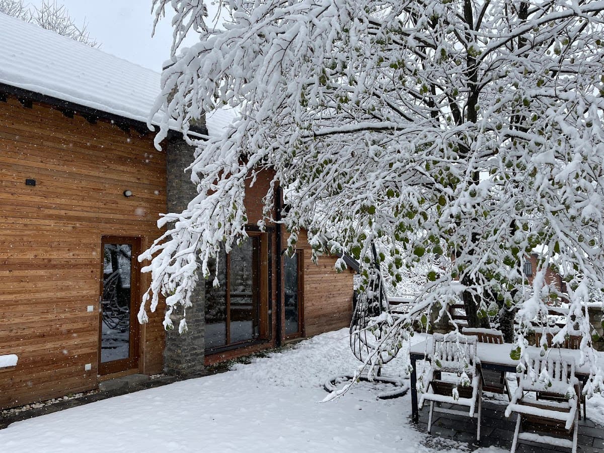 Villa Alpina Brezovicë photo 3