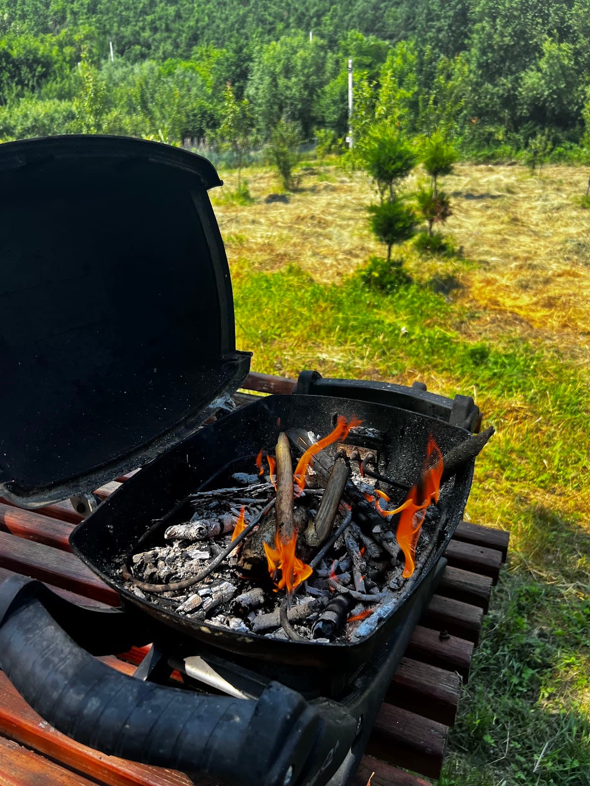 Camping Villa Treehouse Pleshine Ferizaj photo 5